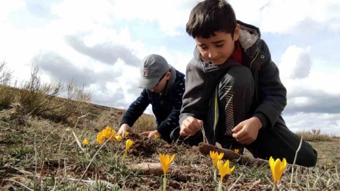 Doğa Canlandı, Ortaya Kartpostallık Görüntüler Çıktı