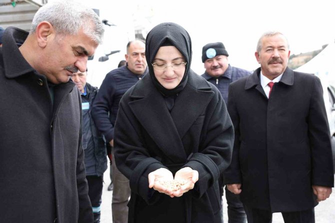 Akyurt Belediyesinden 559 Çiftçiye 200’er Kilogram Tohum Desteği