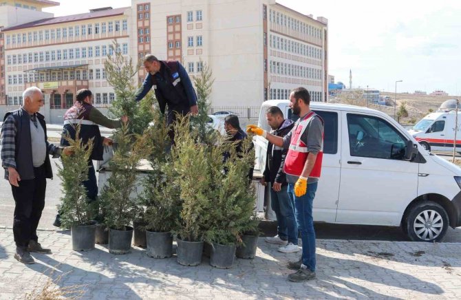 Depremde Hayatını Kaybeden Sağlıkçıların Anısına Fidan Dikildi