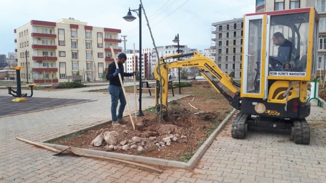 Artuklu Belediyesi Kenti Yeşillendiriyor