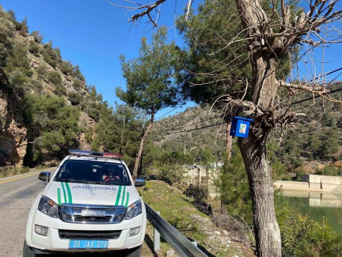 Jandarmadan Ormandaki Kuşlara Yuva