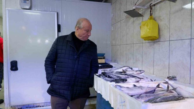Başkan Yardımcısı Fındık’tan Balık Denetimi