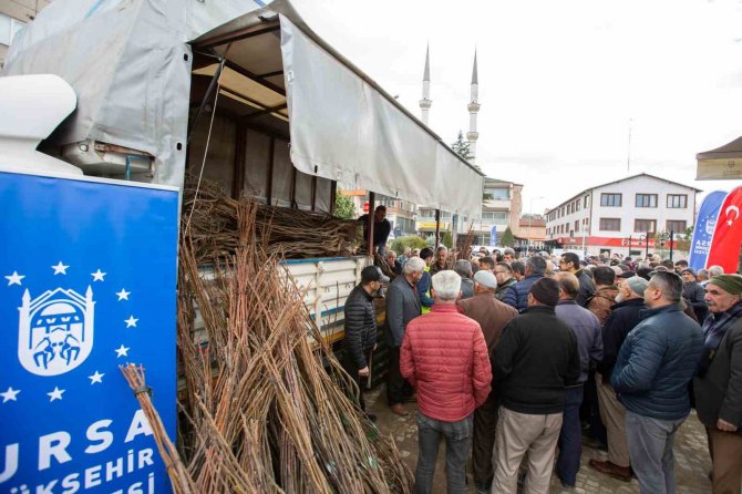 Harmancık’ın Marka Değeri Ceviz Olacak