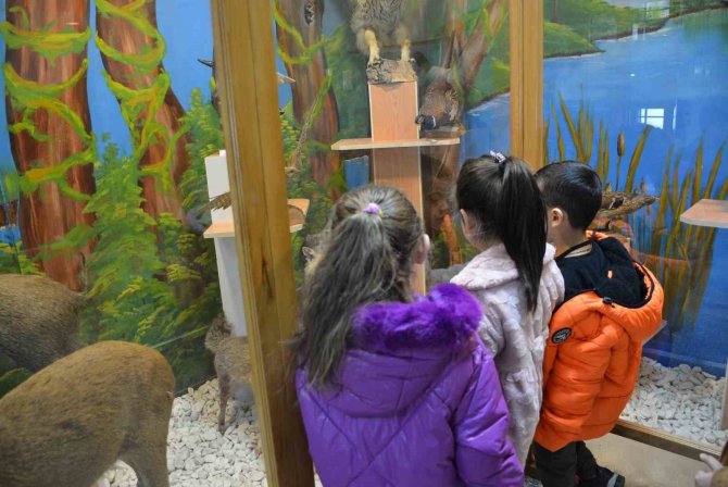 Öğrenciler Doldurulmuş Hayvan Müzesini İnceledi