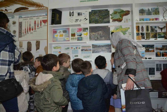 Öğrenciler Doldurulmuş Hayvan Müzesini İnceledi