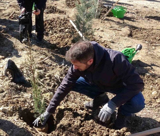 Enerjisa Üretim’den, 18 Mart Çanakkale Zaferi Ve Şehitleri Anma Günü Dolayısıyla Fidan Dikimi