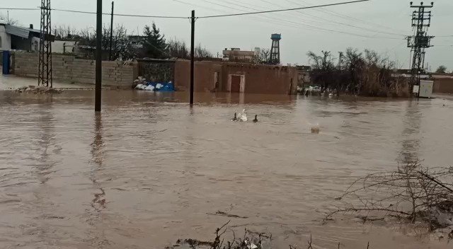 Kızıltepe’de Mahalleler Su Altında Kaldı
