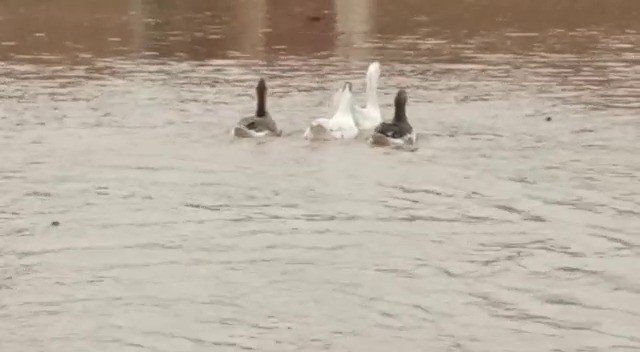 Kızıltepe’de Mahalleler Su Altında Kaldı