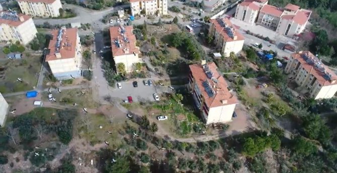 Osmaniye’de Leyleklerin Göçü Görüntülendi