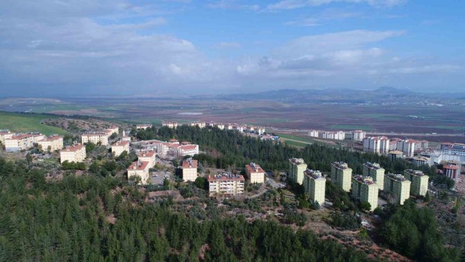 Osmaniye’de Leyleklerin Göçü Görüntülendi