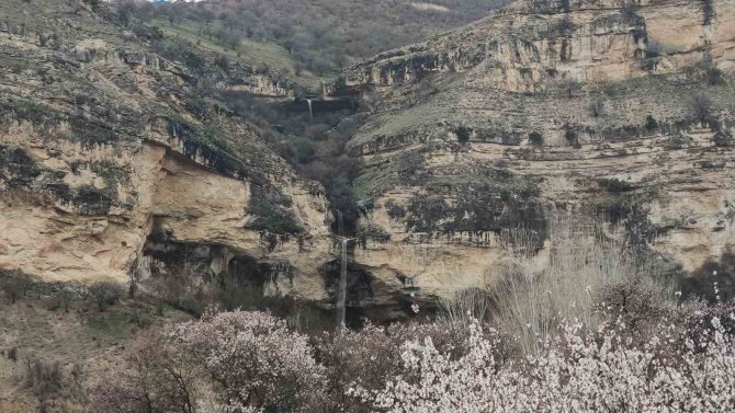 Tunceli’de Bereketi Simgeleyen Kişnikar Şelalesi Akmaya Başladı