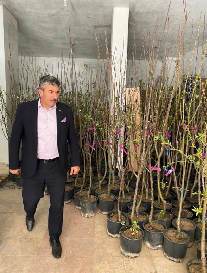 Akdağmadeni’nde Maliyetine Meyve Fidanı Satışı Başladı