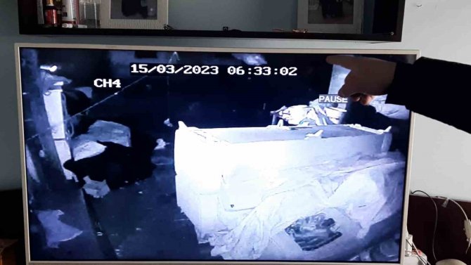 Sel Suları Böyle Geldi