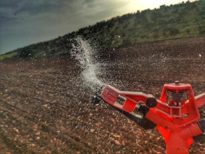 Tarım Uzmanı Uyardı: "Fazla Sulama İnsan Ve Hayvan Sağlığına Zarar Verebilir"