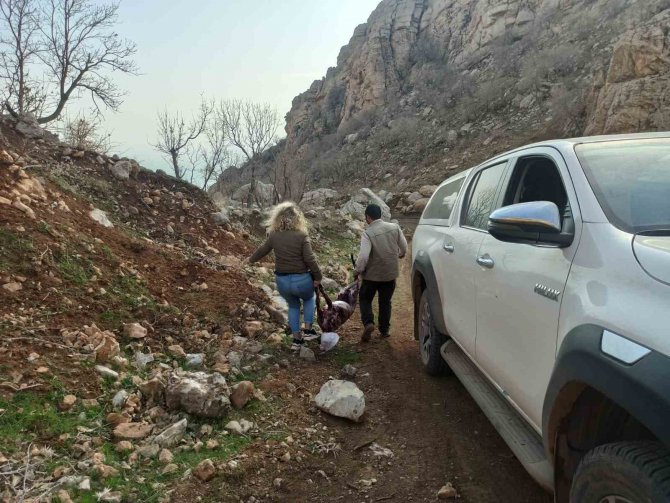 Şırnak’ta Yaban Keçisi Avlayan Şahsa 260 Bin 900 Tl Ceza