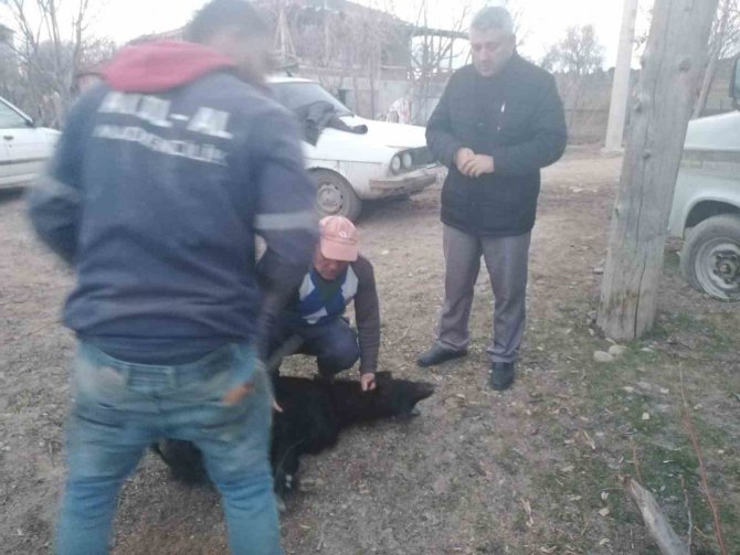 Gediz İ̇lçe Müftülüğü Yardımda Köprü Olmaya Devam Ediyor