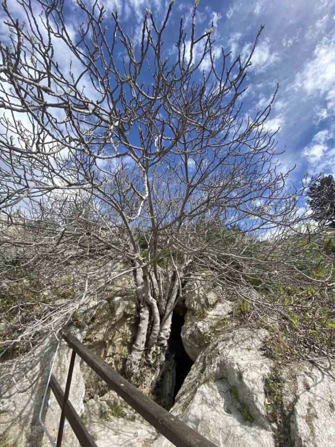 Dünyanın Gezilebilen Tek Alçıtaşı Mağarası: İ̇ncirli