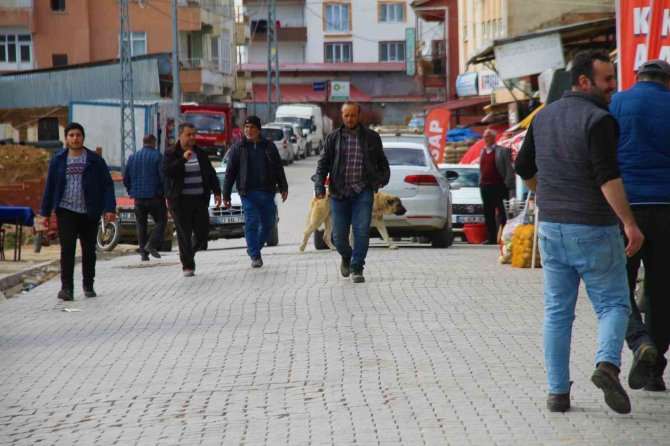 Depremin Ardından Vatandaşlar Bu İlçeye Akın Etti