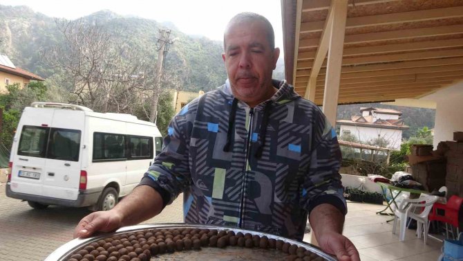 Yanan Alanlara Motorları İle Çıkıp Tohum Topları Atıyorlar