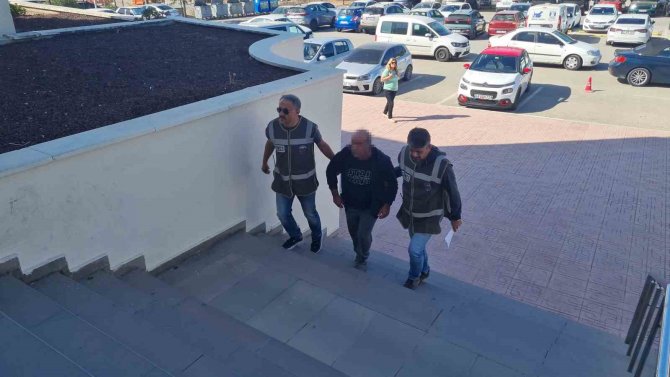 Bodrum’da Köpeklerin Zehirlenmesi İle İlgili Davada Mahkemeden Durdurma Kararı