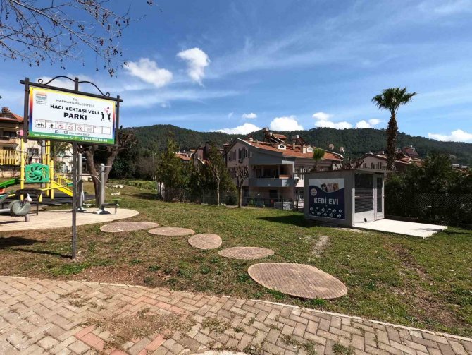 Marmaris Belediyesi’nden Kedi Evi Projesi