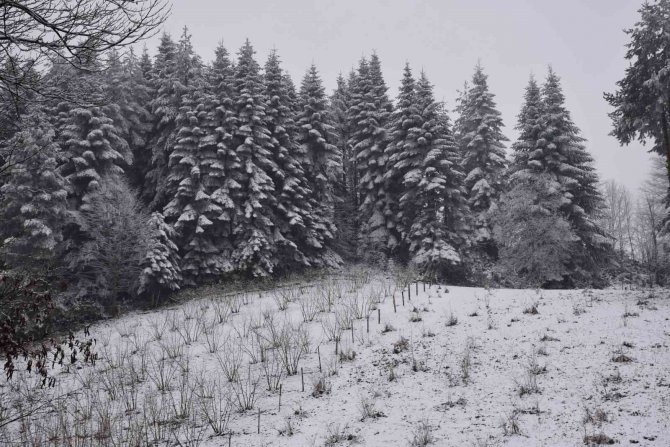 O Mahallede Hem Kış Hem Bahar Yaşanıyor