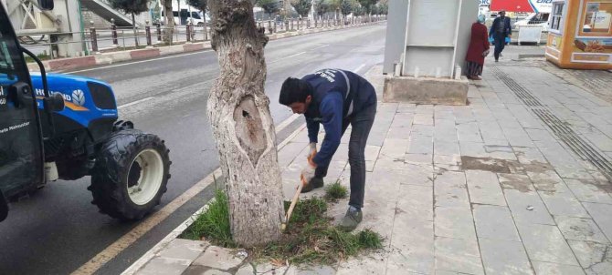 Siirt’te Park Ve Bahçelerde Temizlik Ve Bakım Çalışmaları Başlatıldı