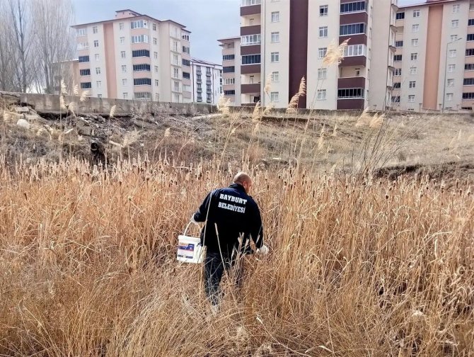 Sivrisinek Ve Haşerelere Karşı İlaçlama Yapıldı