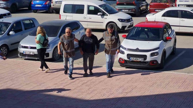 Bodrum’da Köpeklerin Zehirlenmesi İle İlgili Davada Mahkemeden Durdurma Kararı
