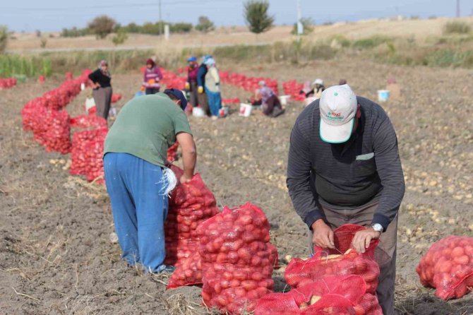 Hüyük’te Tarımsal İşçilerin Günlük Yevmiyeleri Belli Oldu