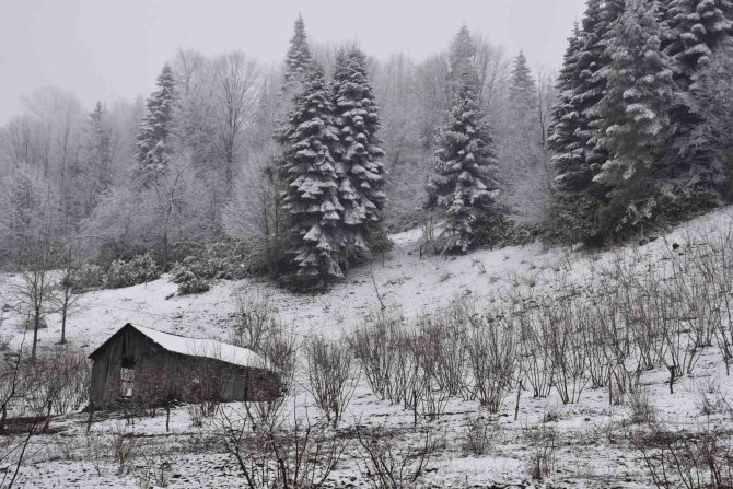 O Mahallede Hem Kış Hem Bahar Yaşanıyor