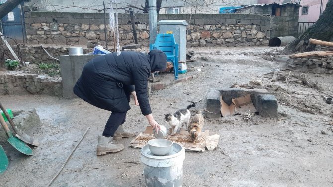 Depremden Sonra Sel Vurdu Ama O Sokak Kedilerini İhmal Etmedi