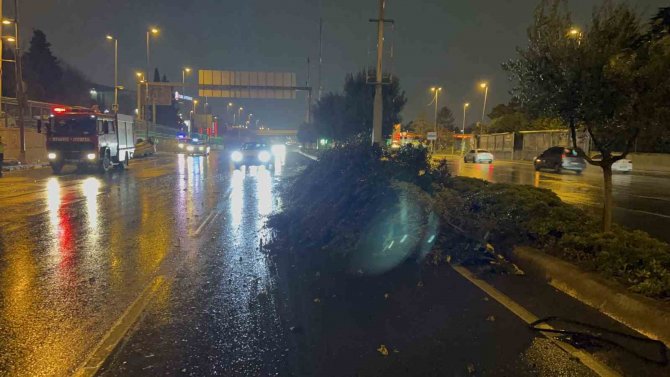Refüjü Aştı, Karşı Şeritteki Araca Çarpıp Takla Attı: 3 Yaralı