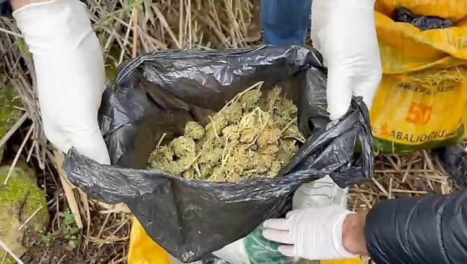 Jandarmanın Bağ Evine Yaptığı Operasyonda 11 Kilo Esrar Ele Geçirildi