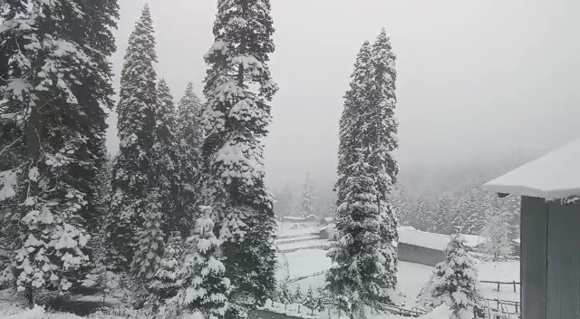 Düzce’de Mart Ayında Kar Sürprizi