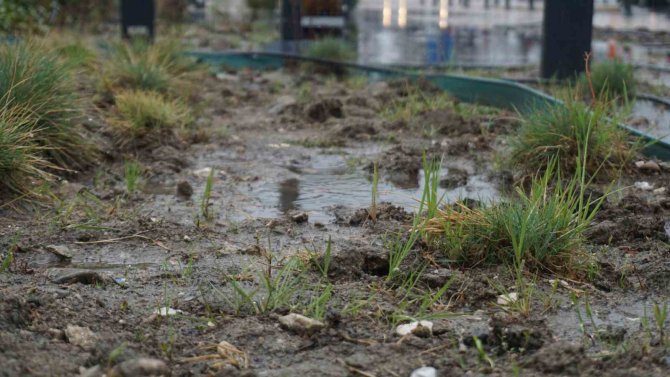 Yağmur Toprağa Can Suyu, Çiftçiye Umut Oldu