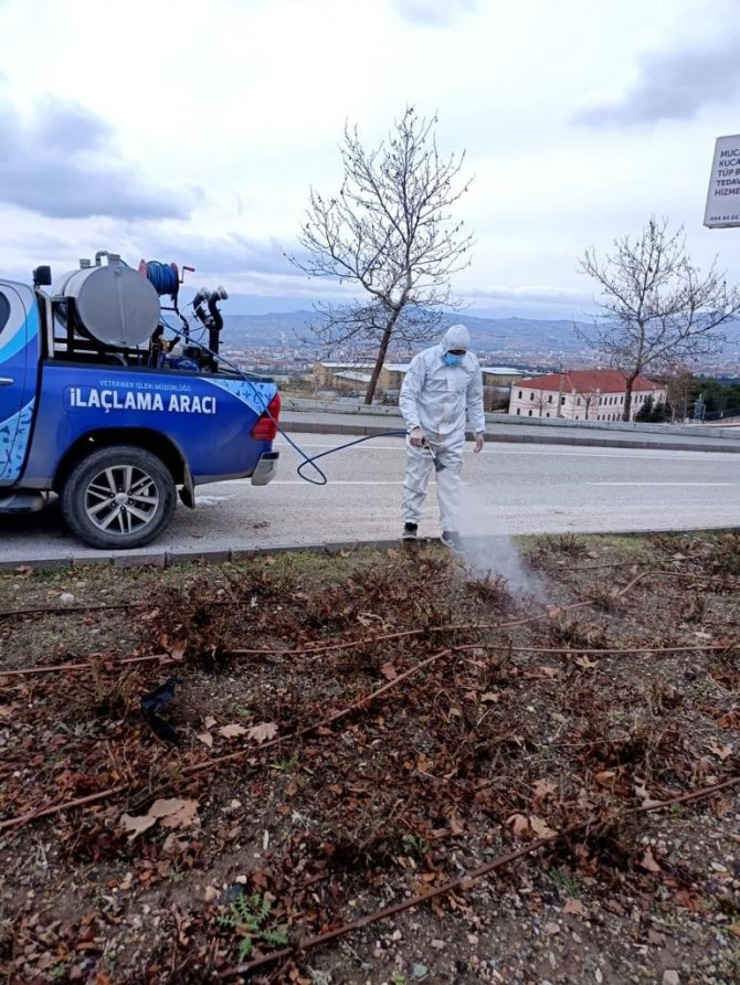Elazığ’da İlaçlama Çalışmaları Sürüyor