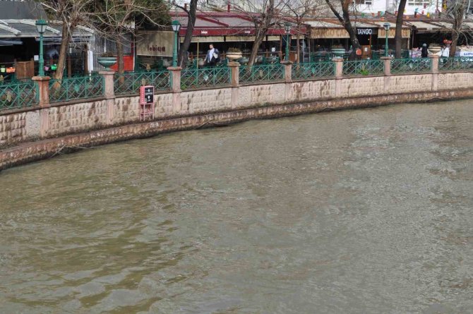 Porsuk Kahverengiye Büründü