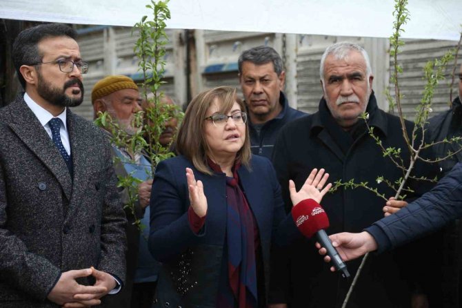 Şehitkamil, Yavuzeli Ve Araban Çiftçisine 50 Bin Fidan Dağıtıldı