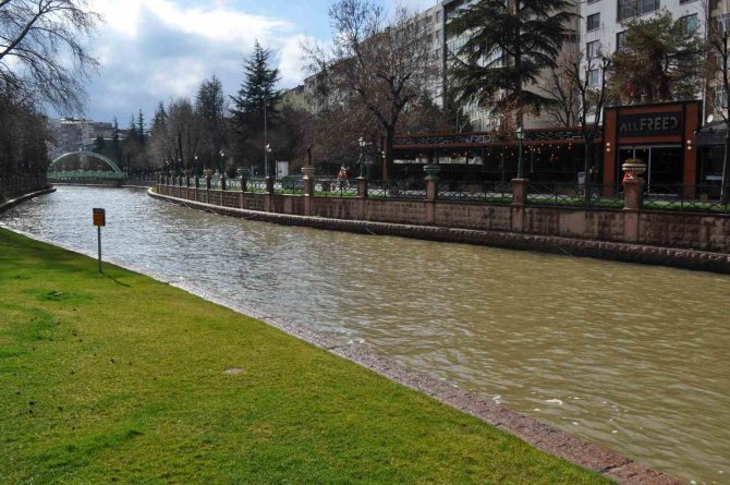 Porsuk Kahverengiye Büründü