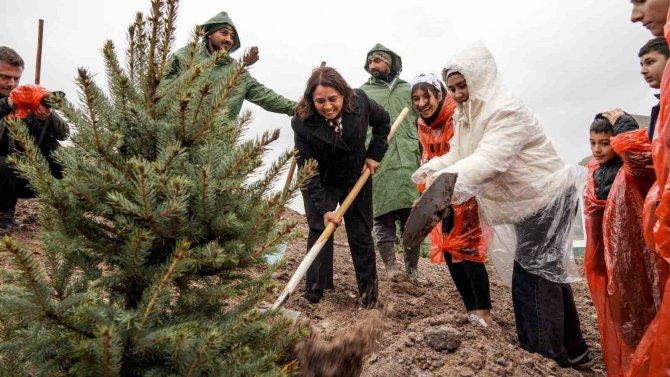 6 Şubat 2023 Deprem Şehitleri Hatıra Ormanı’nda 435 Fidan Toprakla Buluştu
