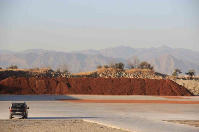 Kömür Fiyatları Arttı, Çam Fıstığı Kabukları Kıymete Bindi