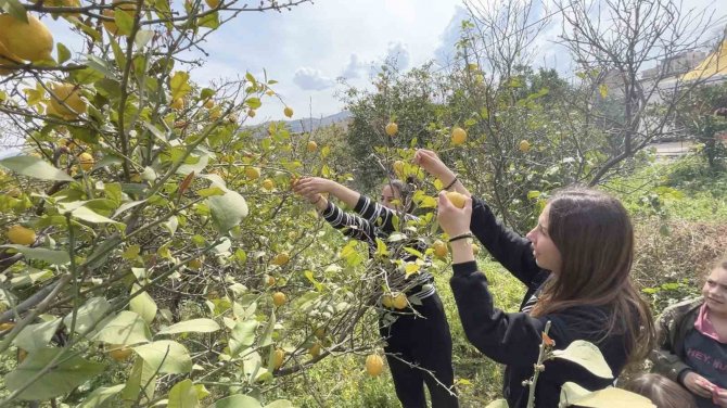Küçükçekmece Belediyesi’nden Hatay’daki Üreticilere Destek