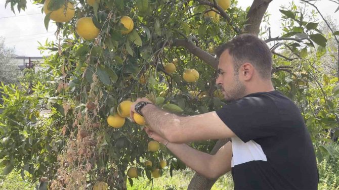 Küçükçekmece Belediyesi’nden Hatay’daki Üreticilere Destek