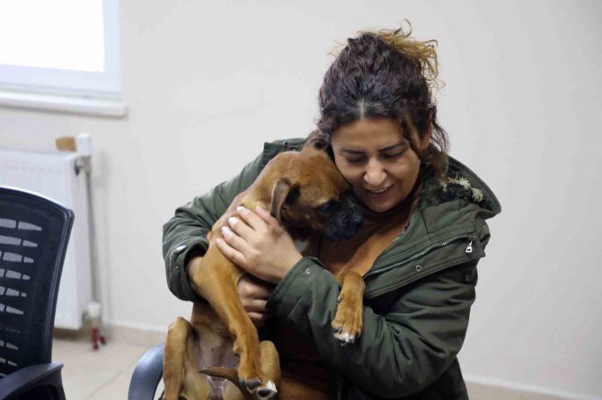 Depremzede Aile İle Depremzede Köpeğin Buluşma Anı