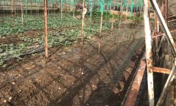 Turuncu Kodla Uyarılan Antalya’da Tarlalar Ve Yollar Göle Döndü