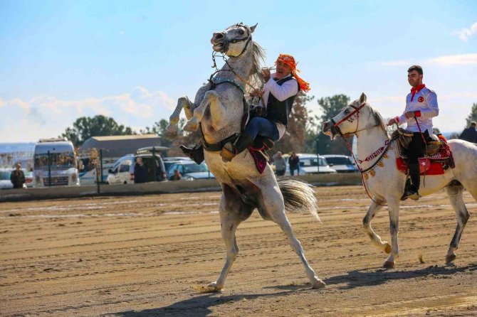 Depremzede Vatandaşlar İçin Cirit Gösteri Düzenleniyor