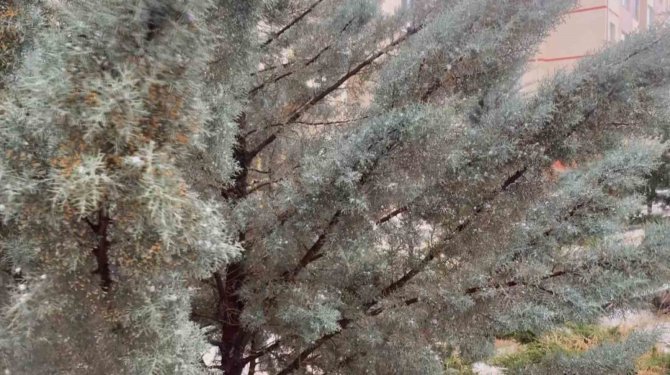 Aksaray’da Şiddetli Dolu Yağışı Şehri Beyaza Bürüdü