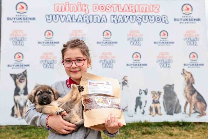 Denizli’de Can Dostlara Hizmet Sürüyor