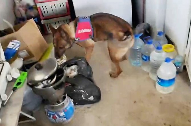 11 Kilo Esrarı Arı Kovanı Ve Sazlıklara Gizleyen Oğul Tutuklandı, Baba Serbest Kaldı